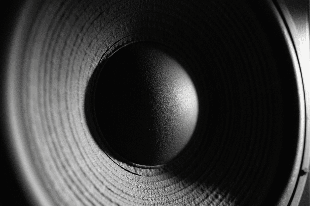 A speaker cone
