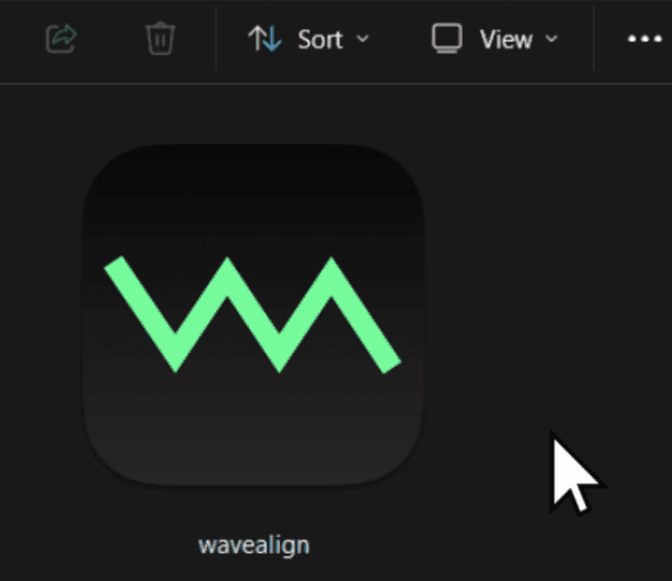 waveAlign Windows (Microsoft) installation